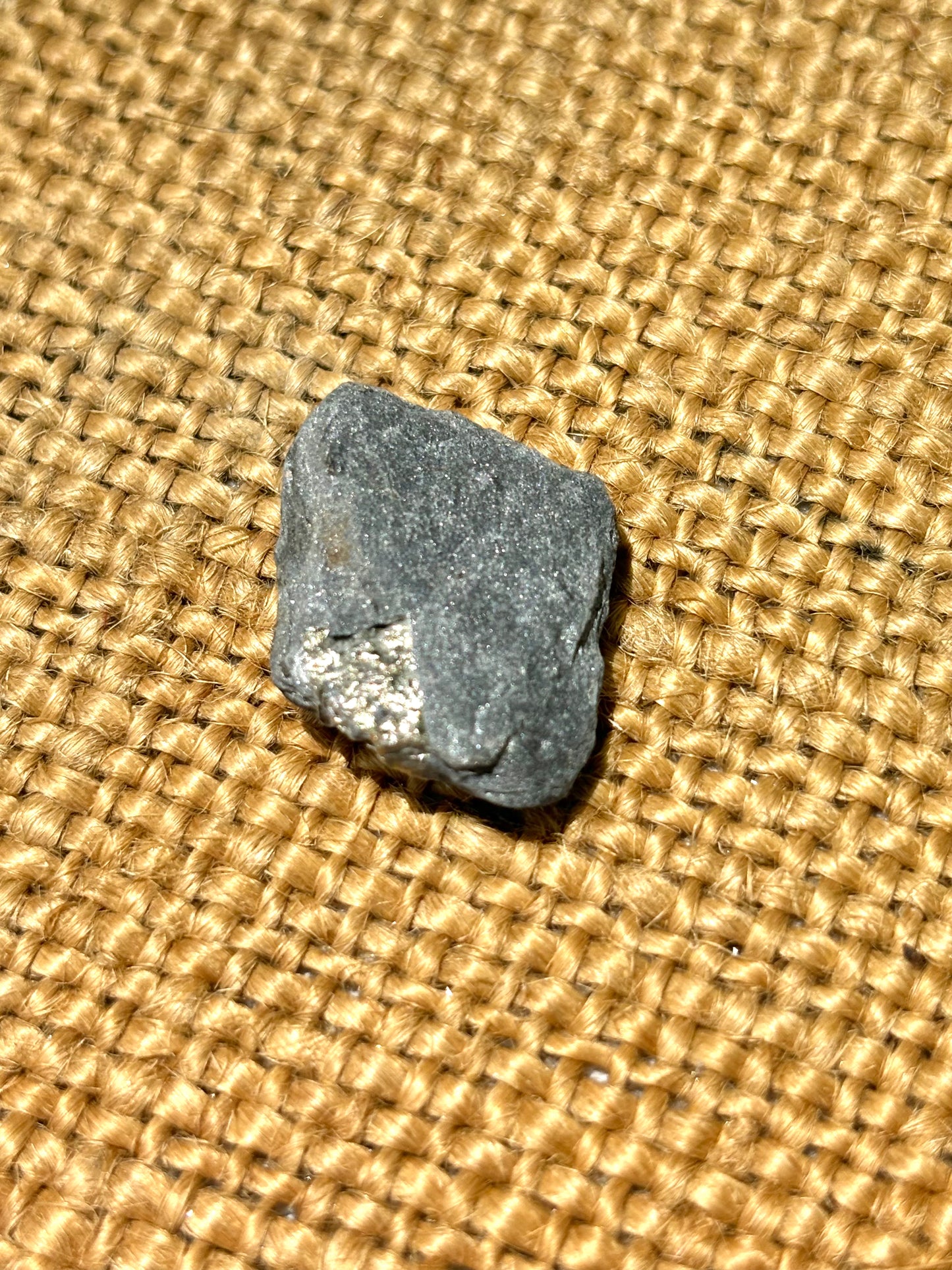 Natural Vermont Platinum Pyrite in Bedrock ~ Sourced in West Brookfield VT