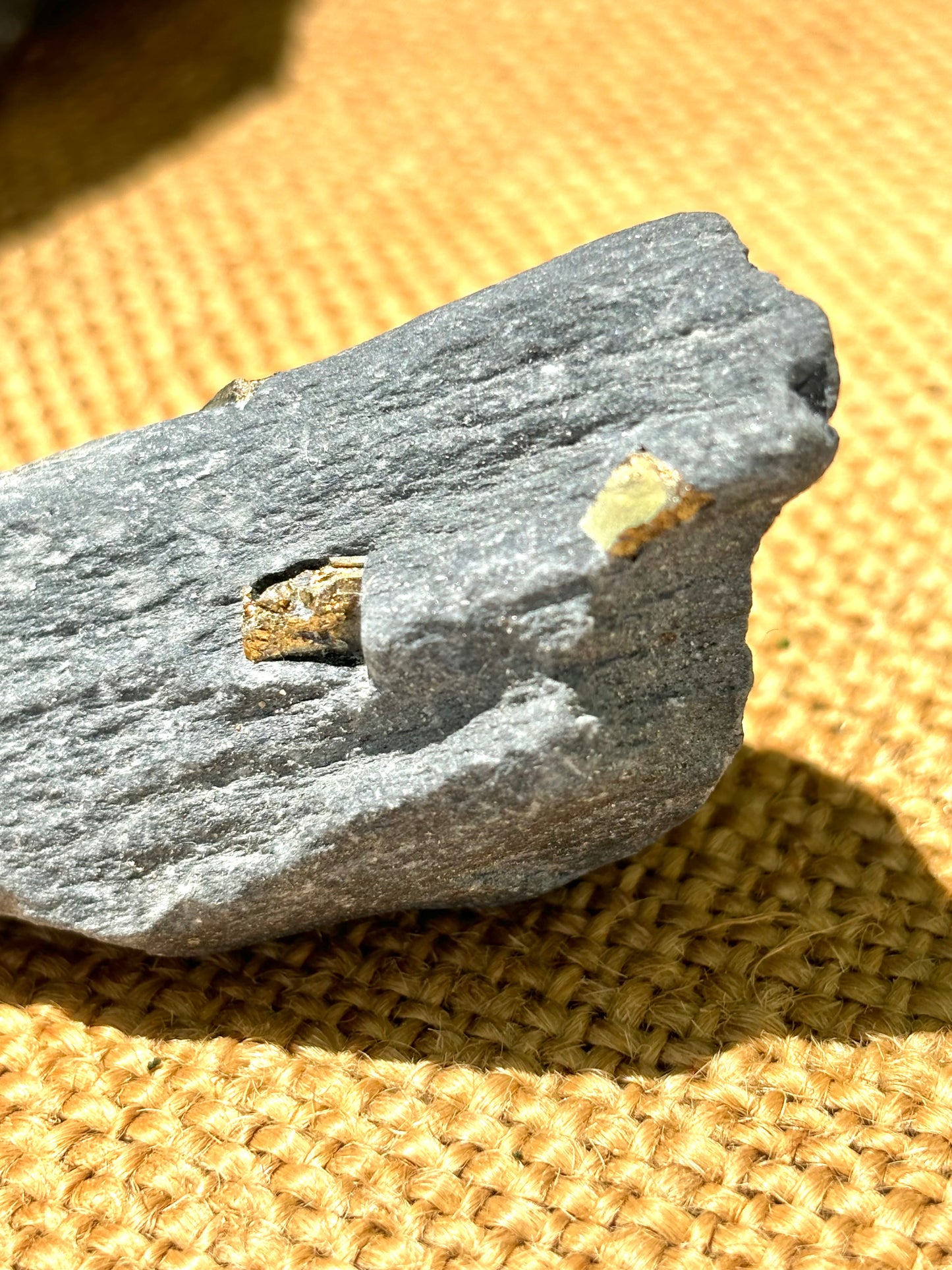 Natural Vermont Platinum Pyrite in Bedrock ~ Sourced in West Brookfield VT