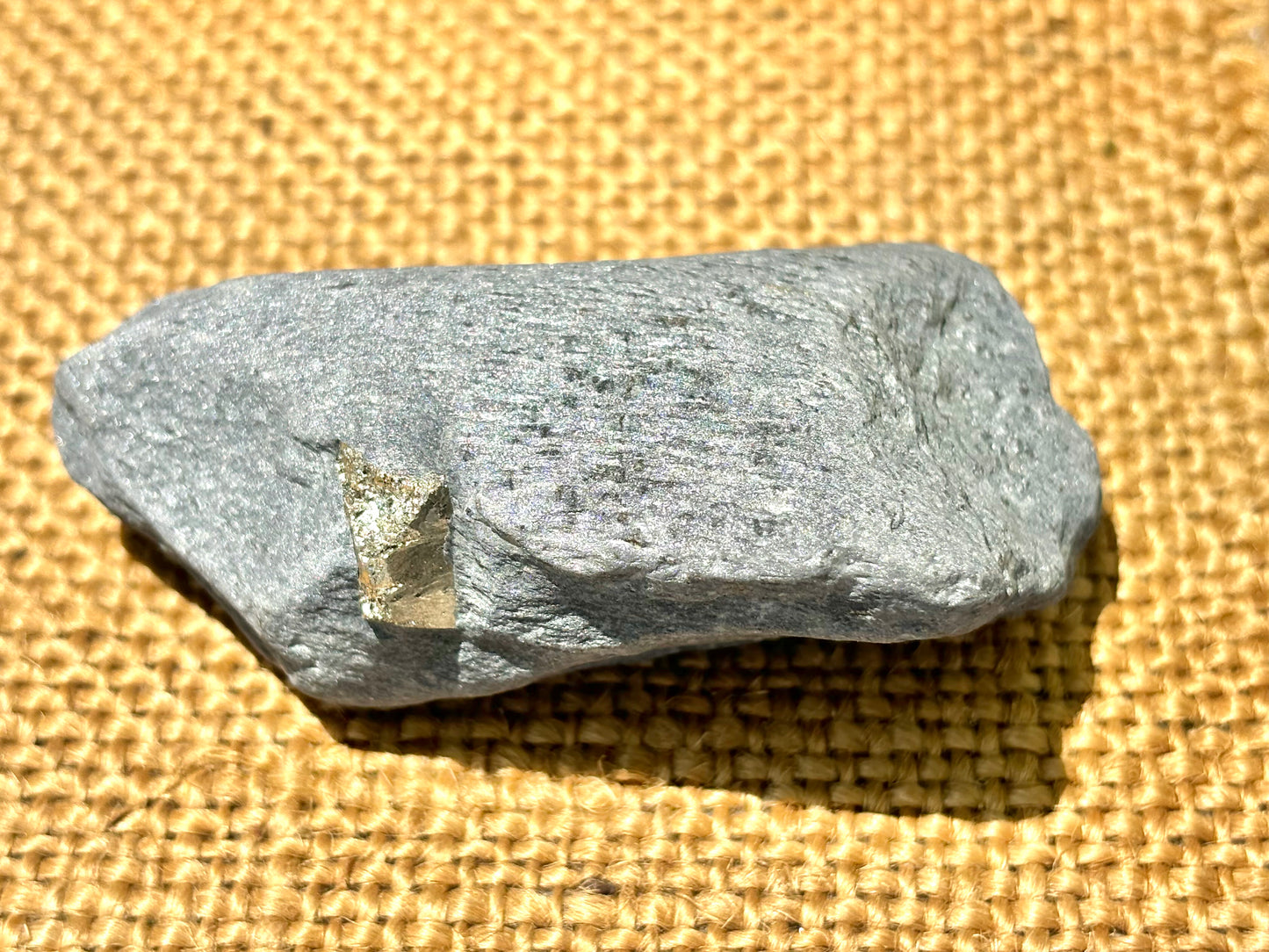 Natural Vermont Platinum Pyrite in Bedrock ~ Sourced in West Brookfield VT