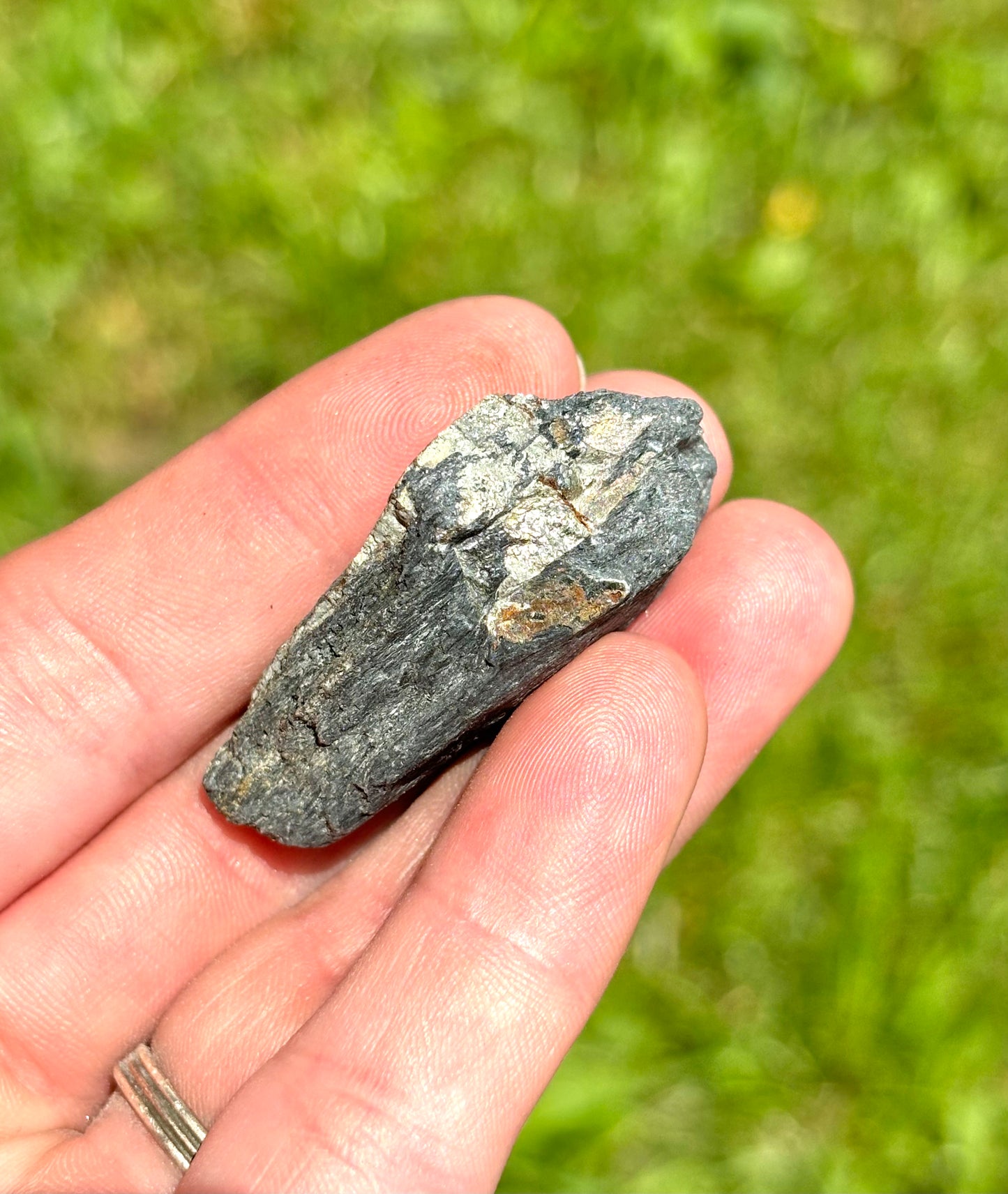 Natural Vermont Platinum Pyrite in Bedrock ~ Sourced in West Brookfield VT