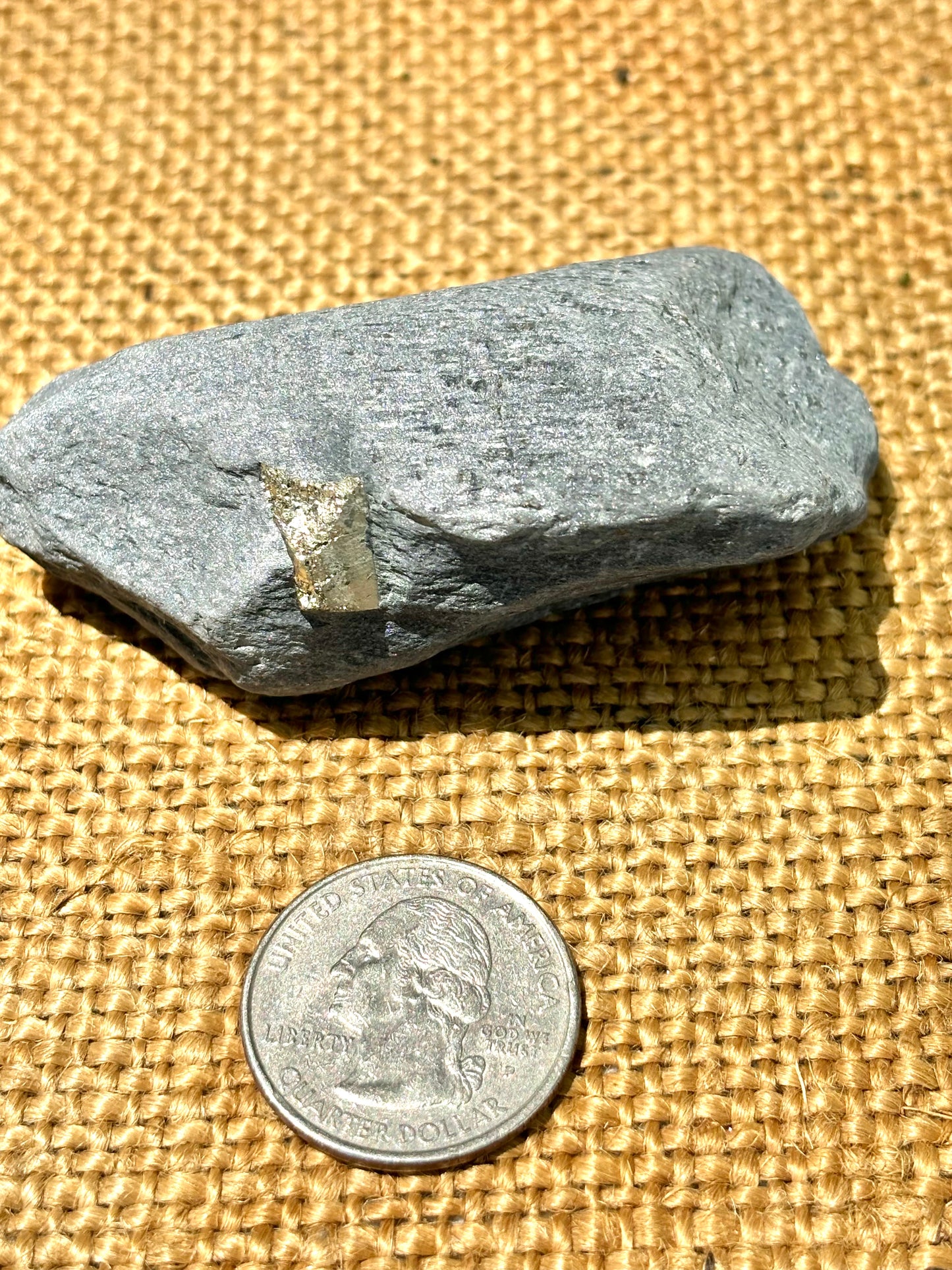 Natural Vermont Platinum Pyrite in Bedrock ~ Sourced in West Brookfield VT