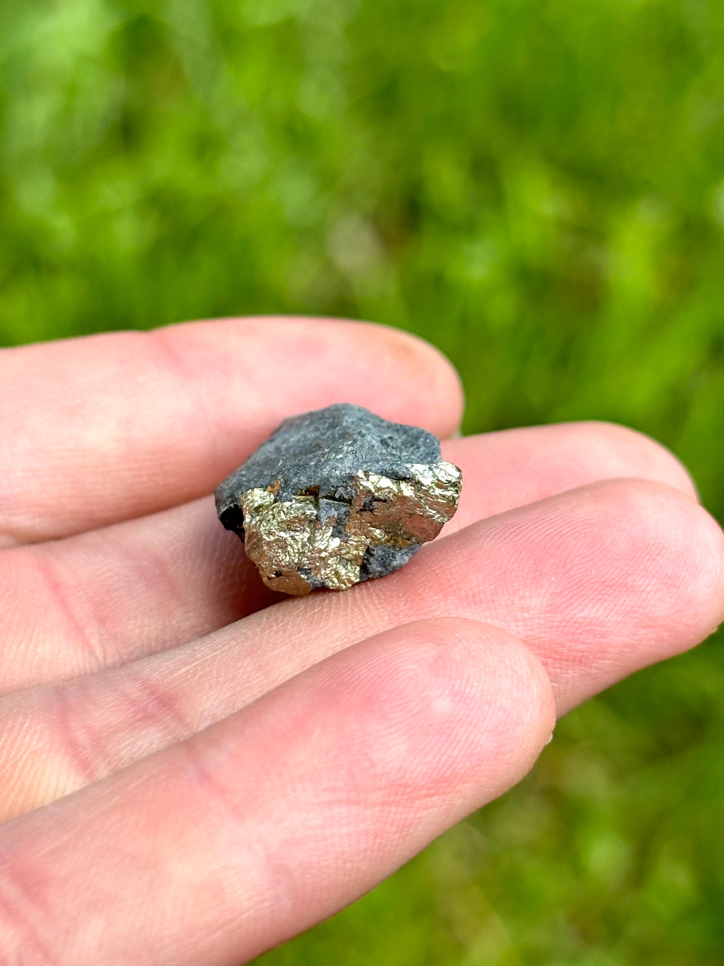 Natural Vermont Platinum Pyrite in Bedrock ~ Sourced in West Brookfield VT