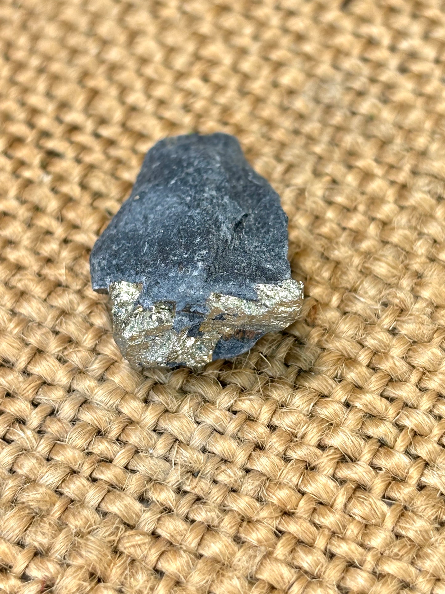 Natural Vermont Platinum Pyrite in Bedrock ~ Sourced in West Brookfield VT