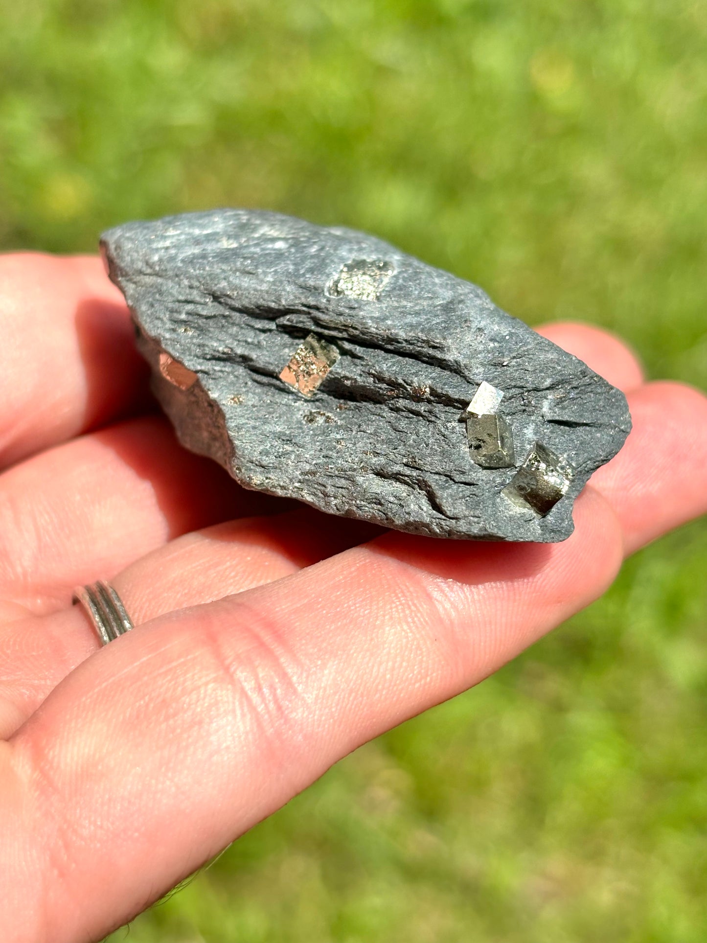 Natural Vermont Platinum Pyrite in Bedrock ~ Sourced in West Brookfield VT