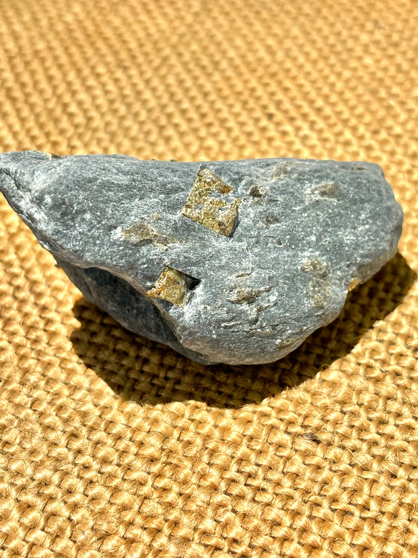 Natural Vermont Platinum Pyrite in Bedrock ~ Sourced in West Brookfield VT