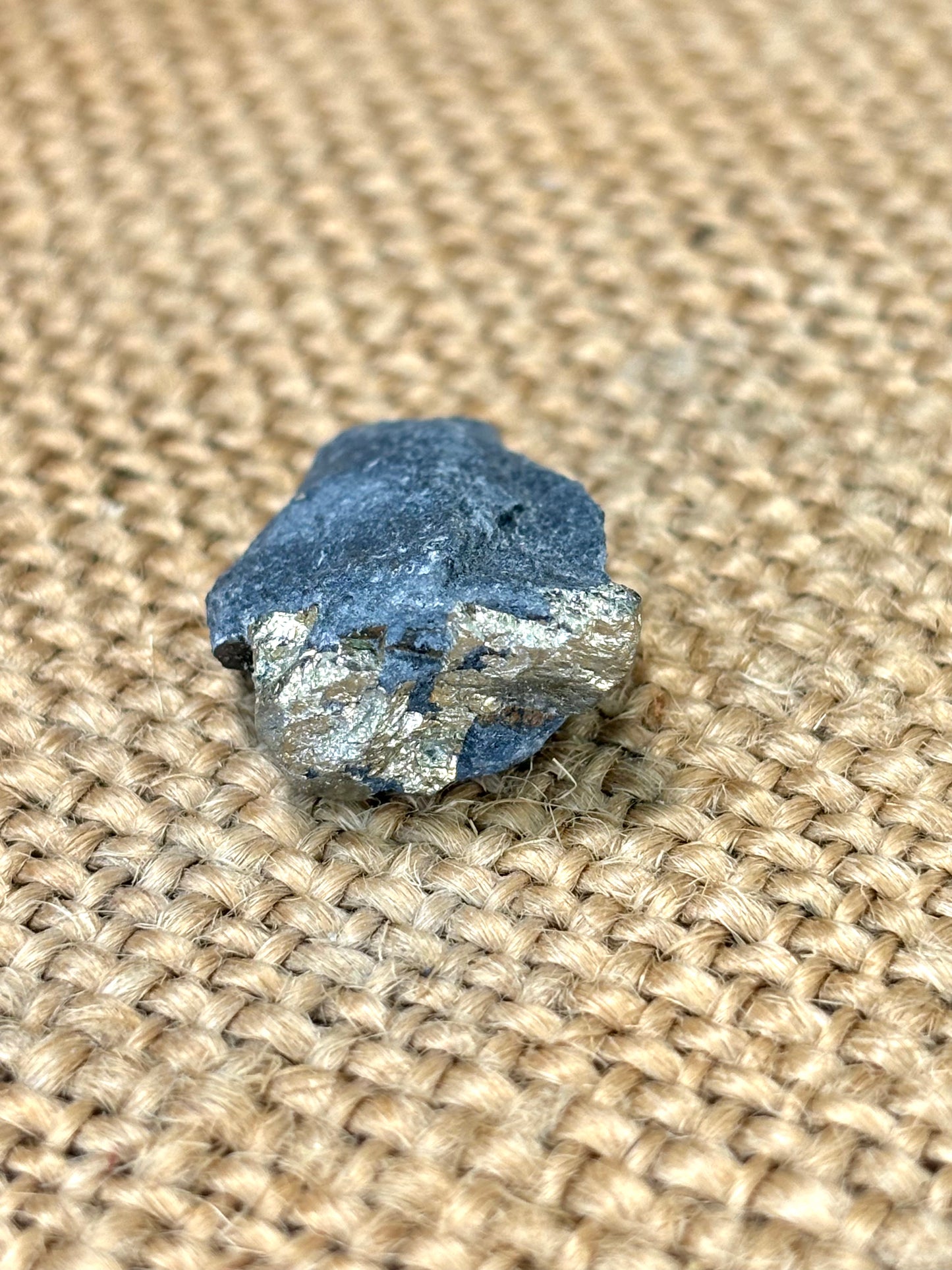 Natural Vermont Platinum Pyrite in Bedrock ~ Sourced in West Brookfield VT