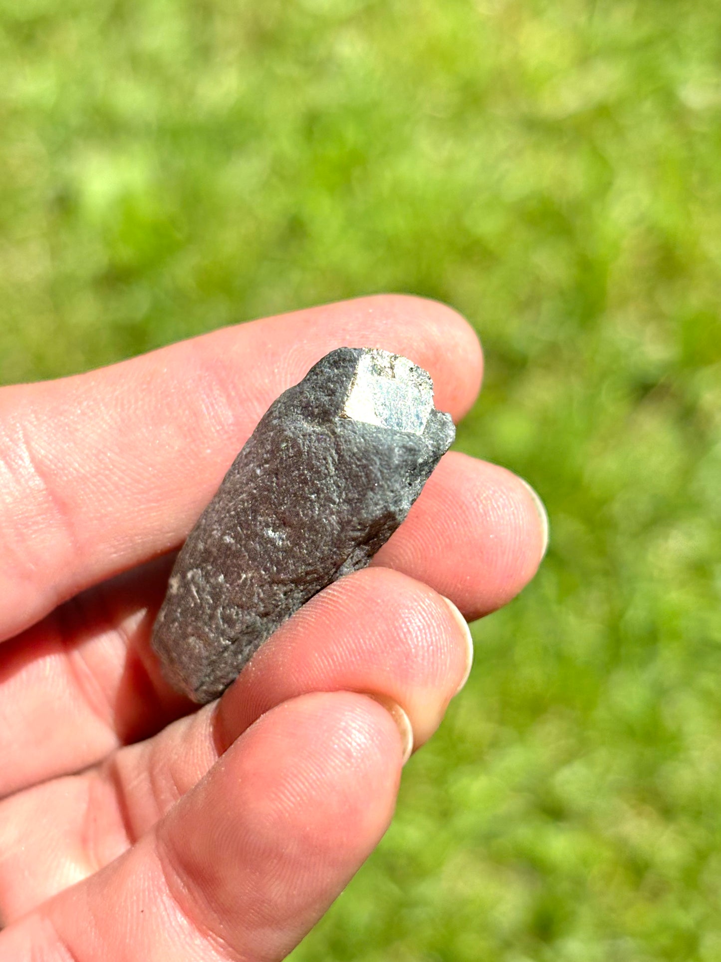 Natural Vermont Platinum Pyrite in Bedrock ~ Sourced in West Brookfield VT