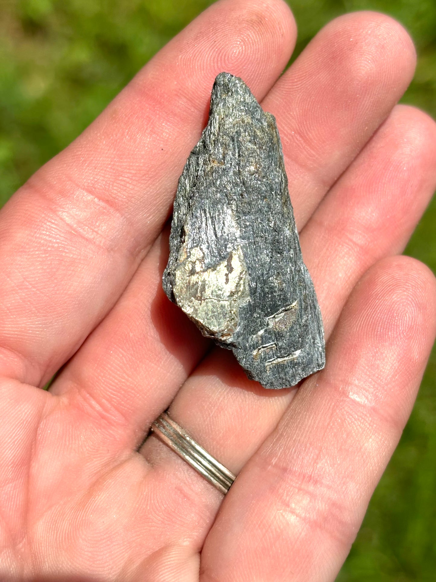 Natural Vermont Platinum Pyrite in Bedrock ~ Sourced in West Brookfield VT