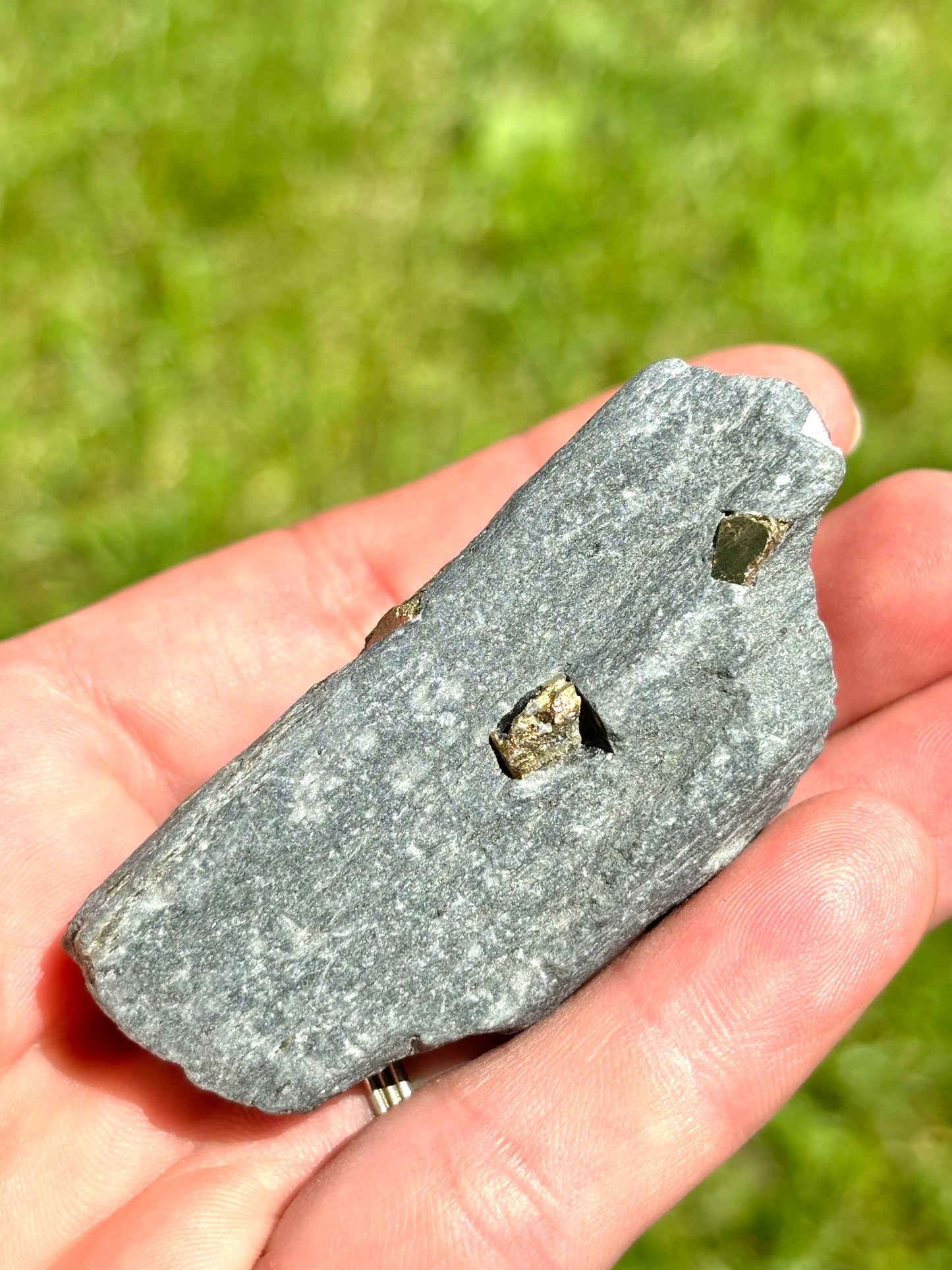 Natural Vermont Platinum Pyrite in Bedrock ~ Sourced in West Brookfield VT