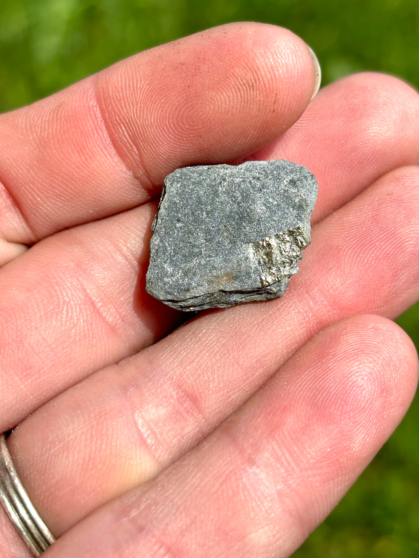 Natural Vermont Platinum Pyrite in Bedrock ~ Sourced in West Brookfield VT