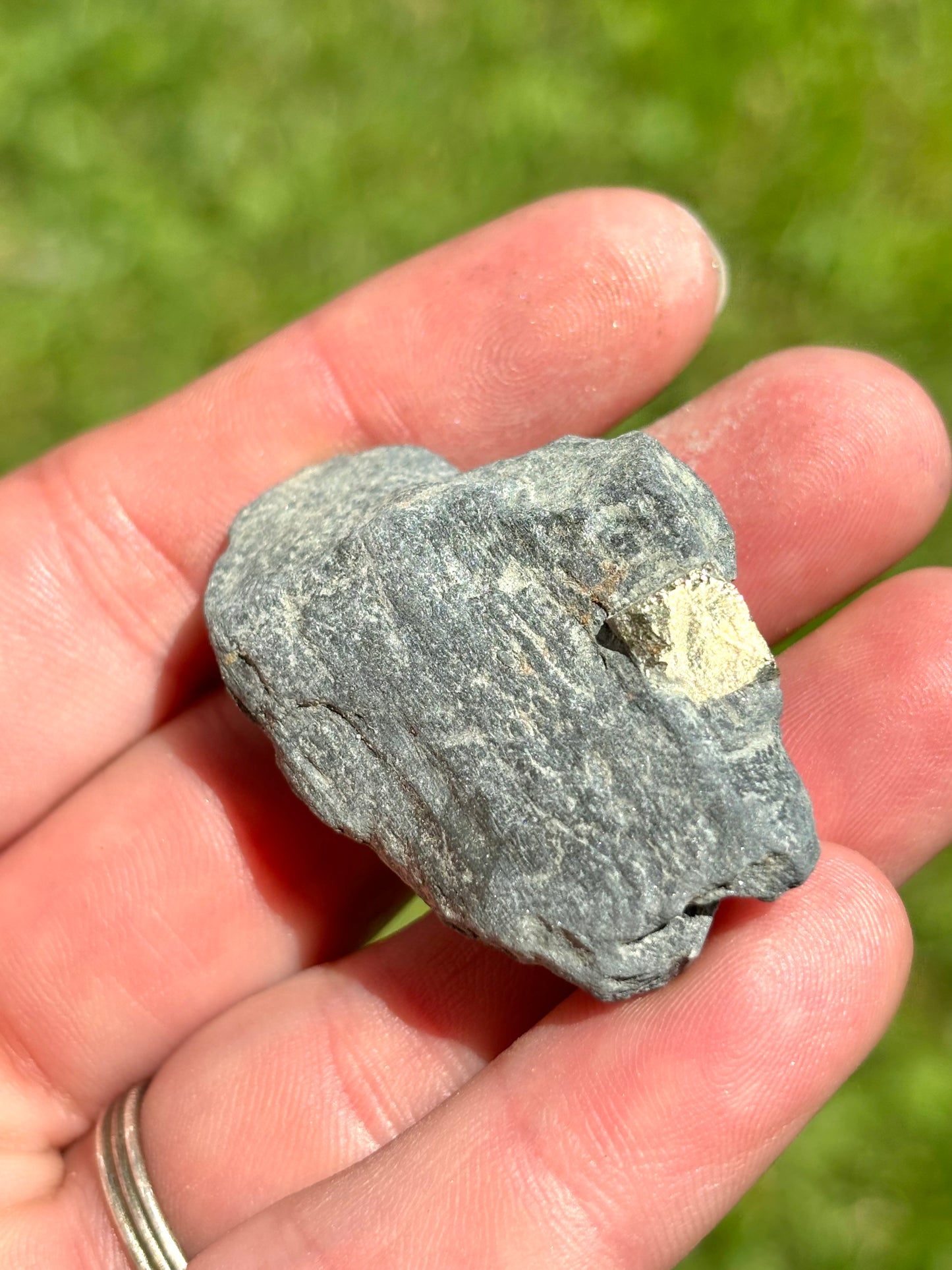 Natural Vermont Platinum Pyrite in Bedrock ~ Sourced in West Brookfield VT