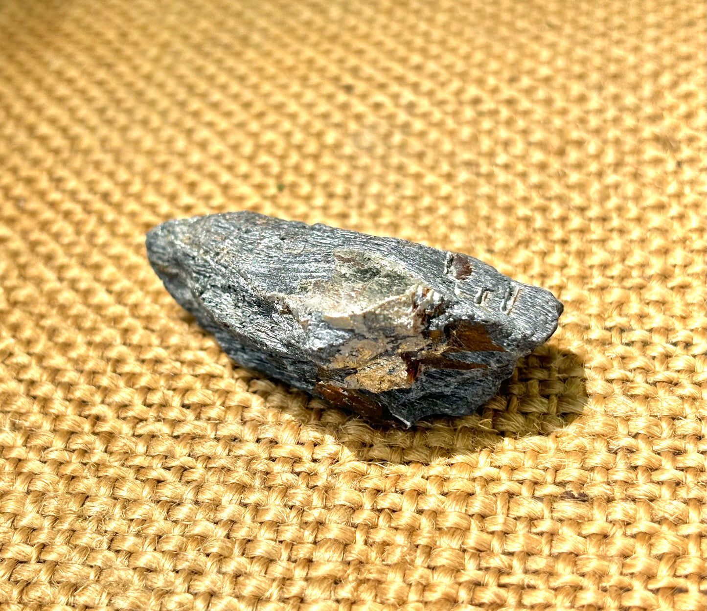 Natural Vermont Platinum Pyrite in Bedrock ~ Sourced in West Brookfield VT