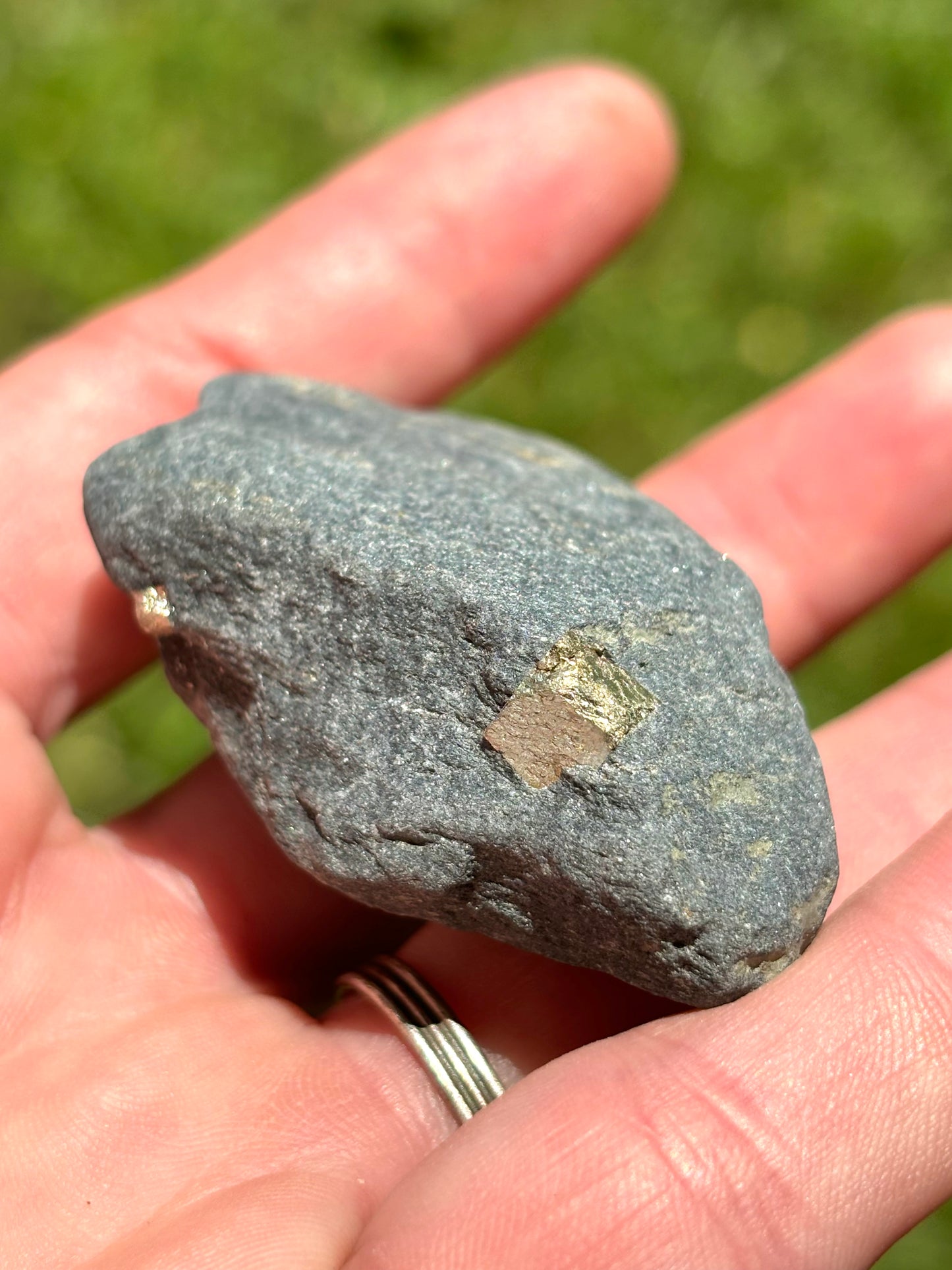 Natural Vermont Platinum Pyrite in Bedrock ~ Sourced in West Brookfield VT