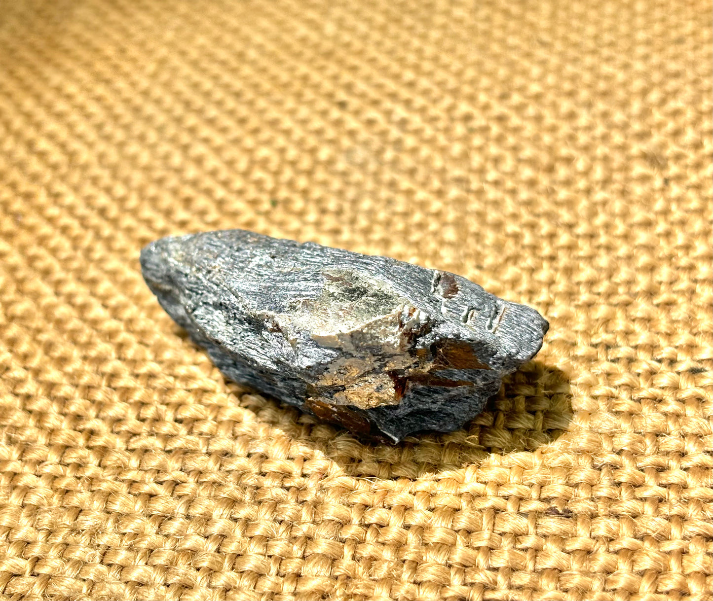 Natural Vermont Platinum Pyrite in Bedrock ~ Sourced in West Brookfield VT